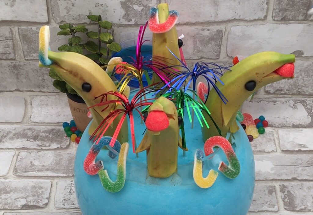 Cocktail bassin dauphins