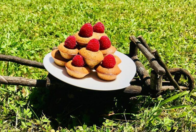 Financiers pistaches/noisettes/framboises