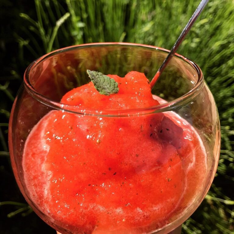Sorbet maison tout frais