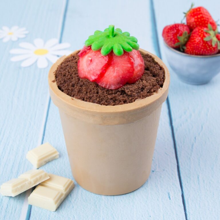 La planta de fresas con su maceta comestible!
