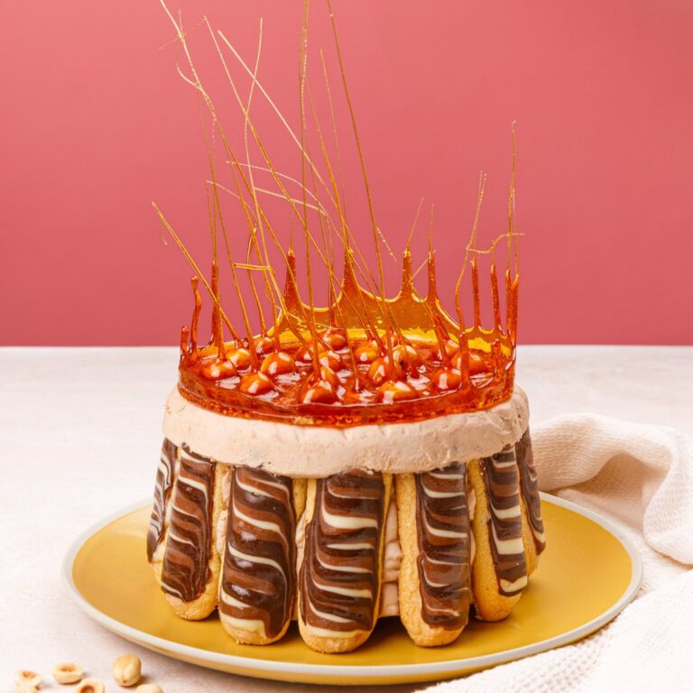 Charlotte royale chocolat praline