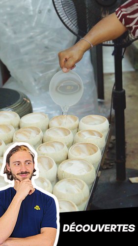 Noix de coco en gelée
