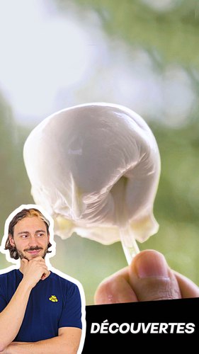 La mozzarella de bufflonne