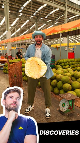 The Jackfruit Experience