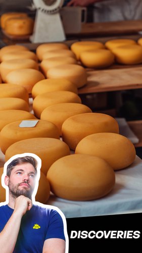 Cheddar