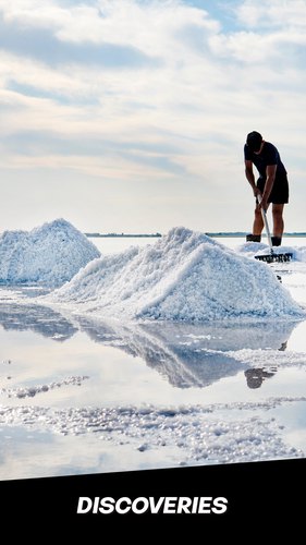 Salt