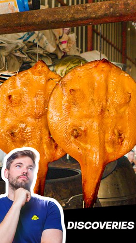 Crispy Duck Guitar