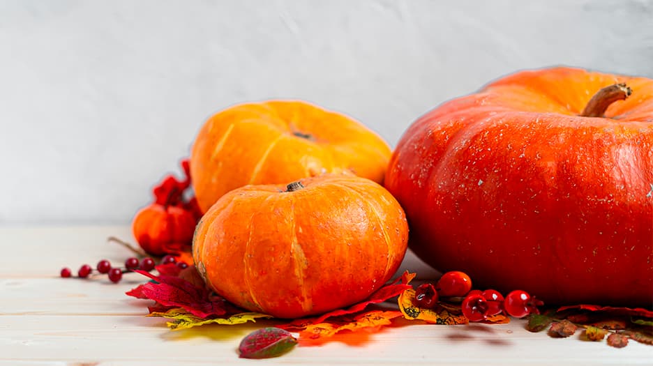 Les fruits et légumes du mois de novembre