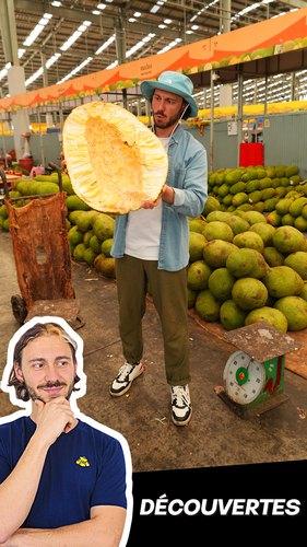 Le fruit du jacquier
