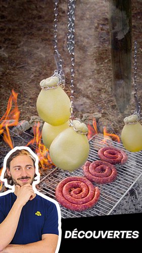 Le caciocavallo